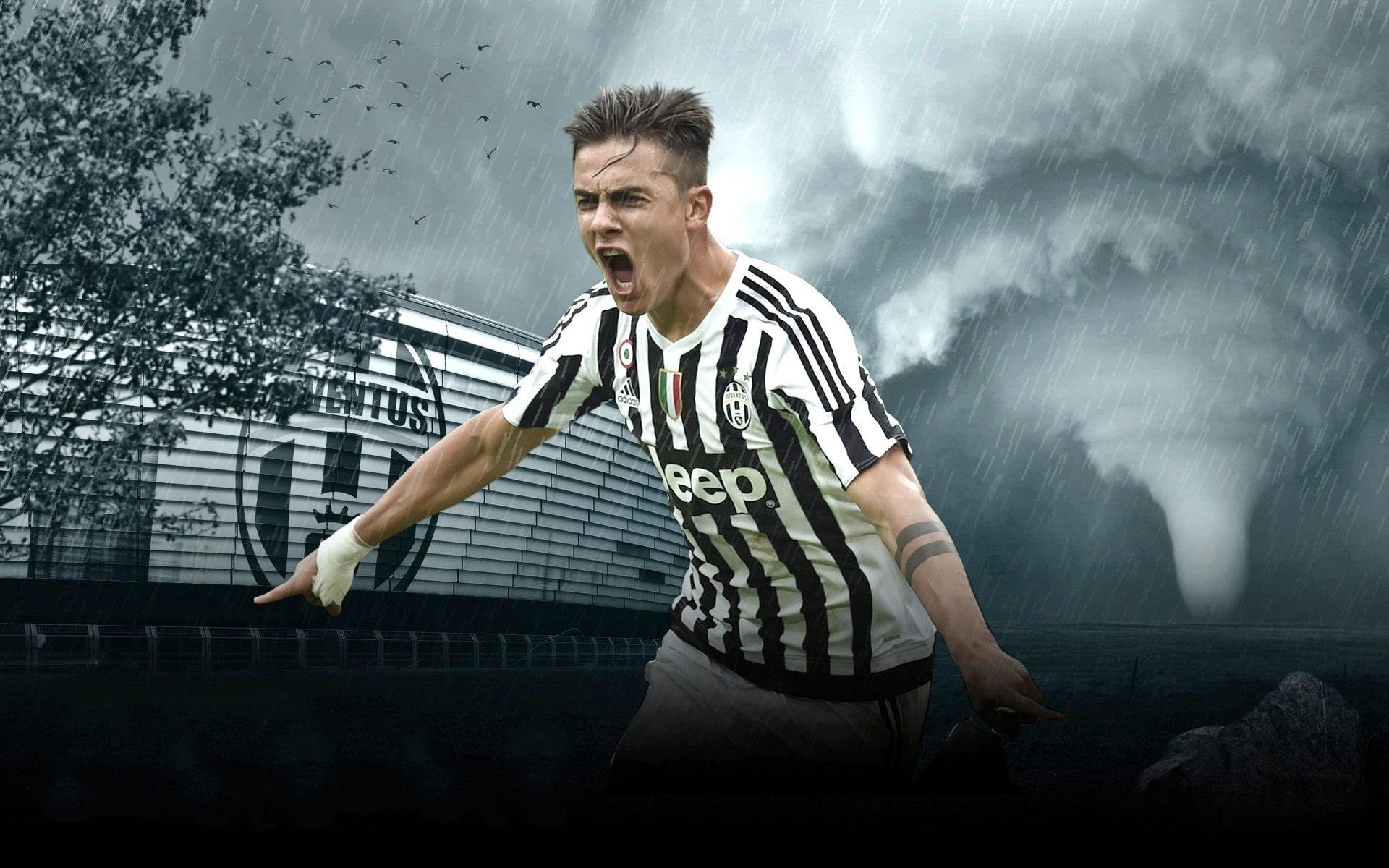 最狠的回击，是沉默（沉默，才是最锋利的反击）