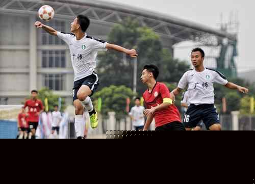 这队的轮转太合理（这支球队的轮换安排太到位）